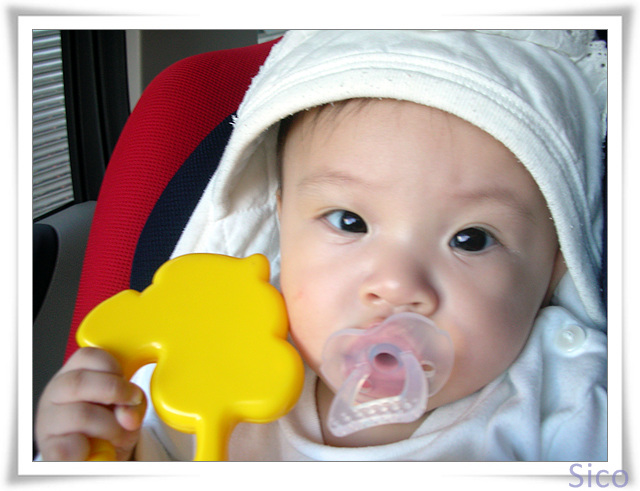 DSCN5034.jpg