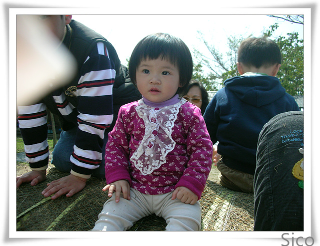 DSCN4926.jpg